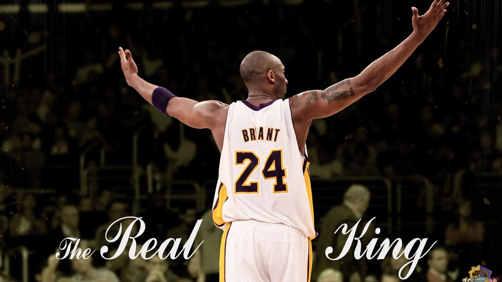 猛龙封锁鹈鹕，利拉德稳定输出不掉线，当铁血防守遭遇致命精准